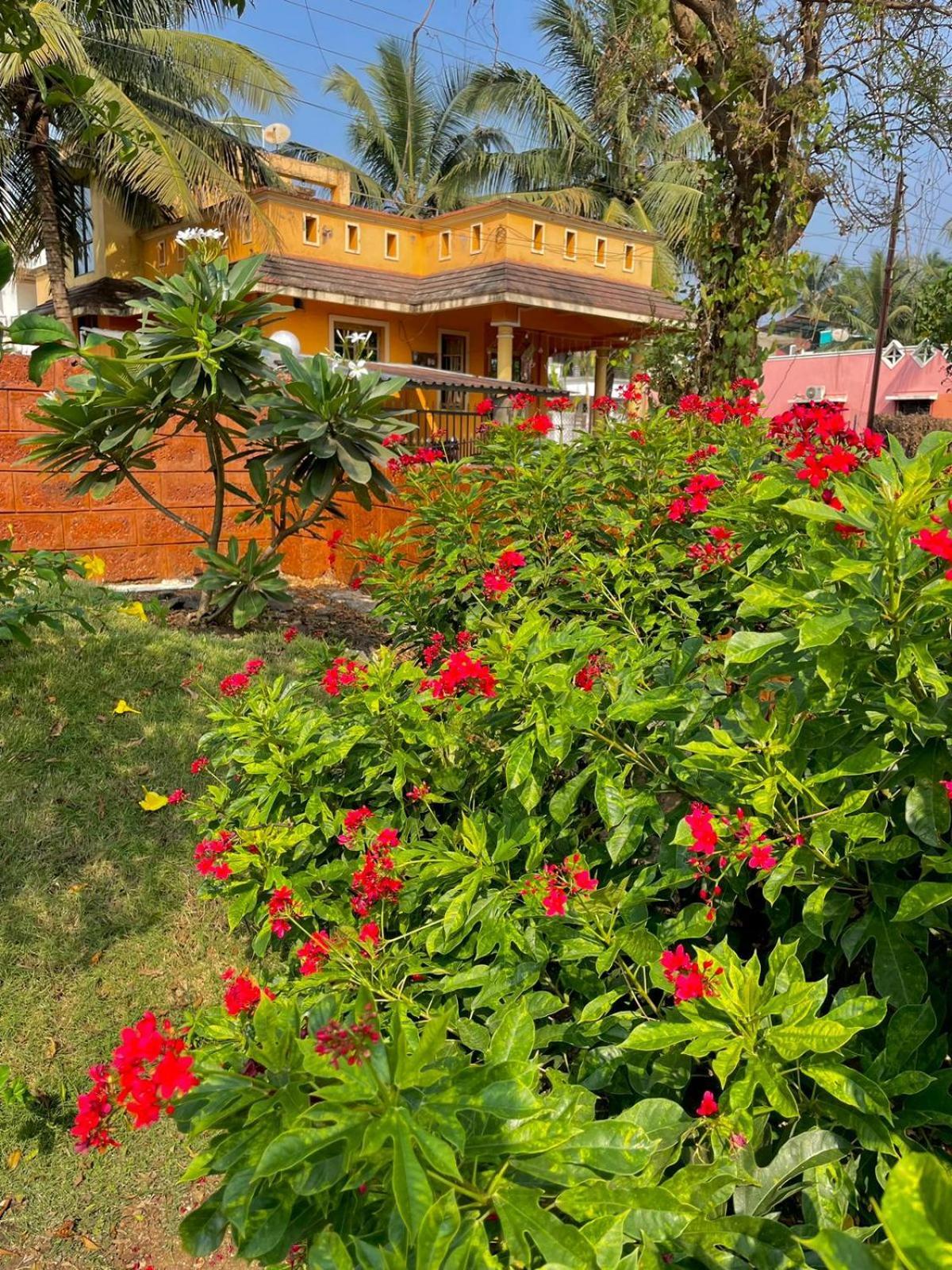 Scarlet Resort Alībāg Exterior foto
